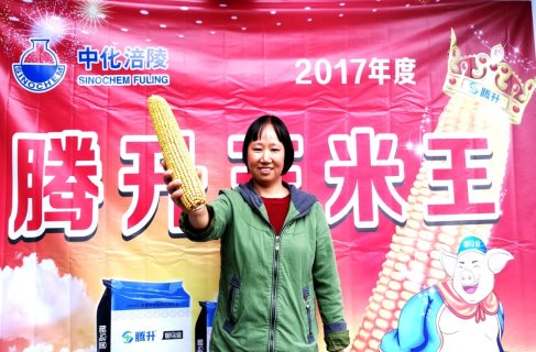 武隆区白马镇“2017‘腾升’玉米王”的张小容.jpg